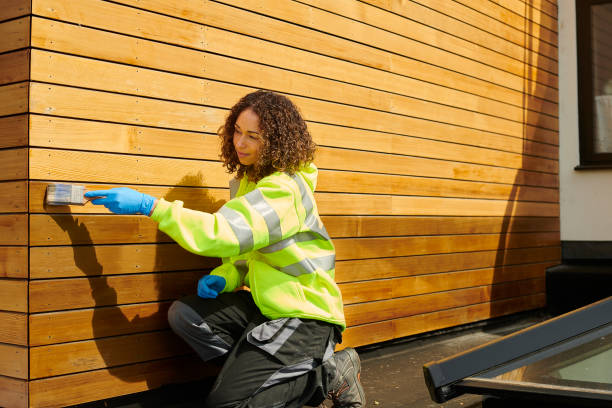 Best Insulated Siding Installation  in Brookhaven, MS